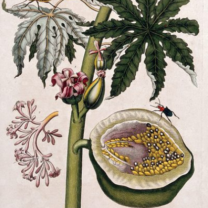 a je to preveč perverzno?