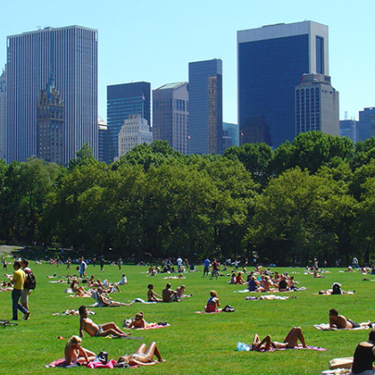 pregreti kiti v parku