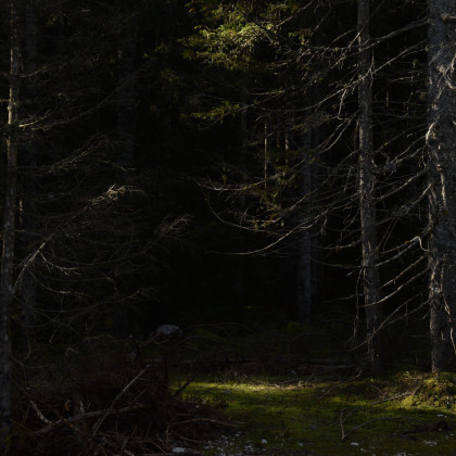 Seznam skladb za 24. 7. 2024, 15.00–19.00