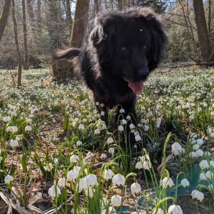 Seznam skladb za 31. 3. 2025, 7.00–11.00 (Nika Štrus)