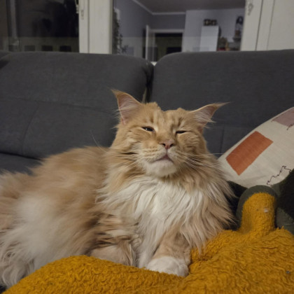 Seznam skladb za 26. 5. 2025, 7.05–10.10 (Jizah DaFunk)