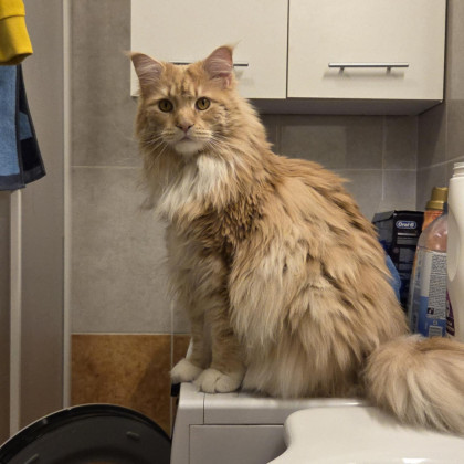 Seznam skladb za 23. 6. 2025, 7.00–11.00 (Jizah DaFunk)