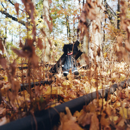 Billy Woods: Golliwog