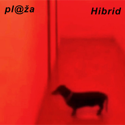 pl@ža: Hibrid