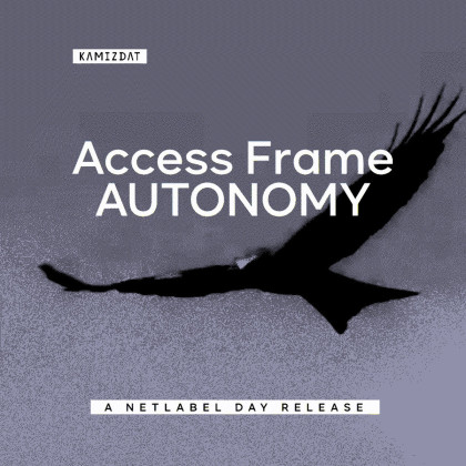 Access Frame: Autonomy