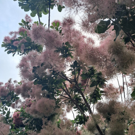 Seznam skladb za 6. 3. 2026, 14.00–18.00 (Nina Zajc)