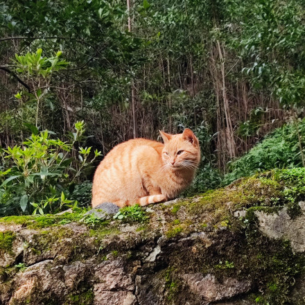 Seznam skladb za 19. 3. 2026, 14.00–18.00 (Nace Bola Ujčič)