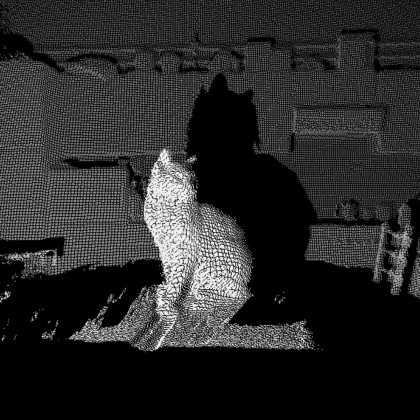 Marta Fakuch svašta