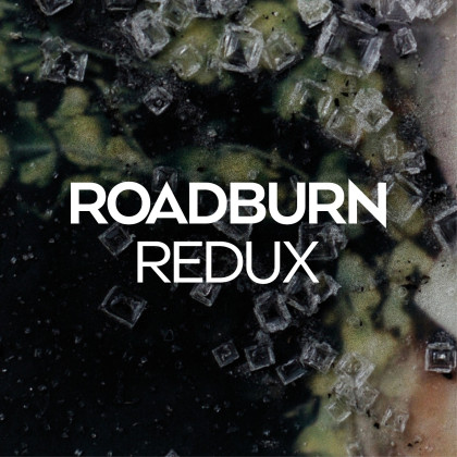 Roadburn Redux