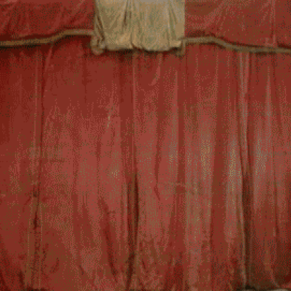 How to confuse a cat