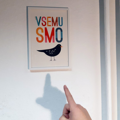 klopca pod svobodnim soncem, Aleš, zgodba o uspehu, avtorja Jean Nikolič & Rok Pibernik 