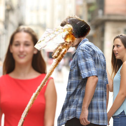 mosquitoes desire me (carnally)