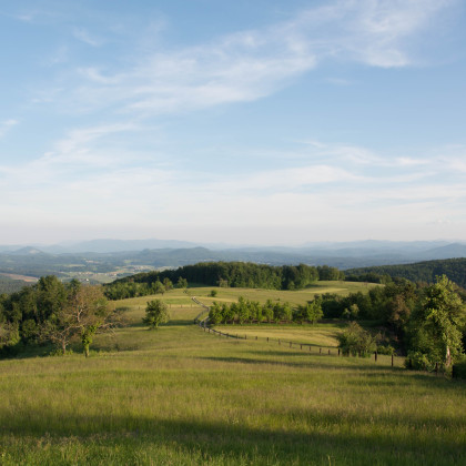 Seznam skladb za 23. 8. 2023, 11.00–15.00 (Nina Zajc)