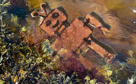 Robotek slavno pluje v algastem obrežju kot Ofelija