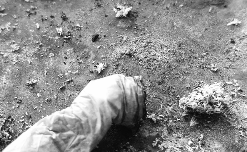 Seznam skladb za 22. 7. 2024, 11.00–15.00 (Mitja Hlupič)