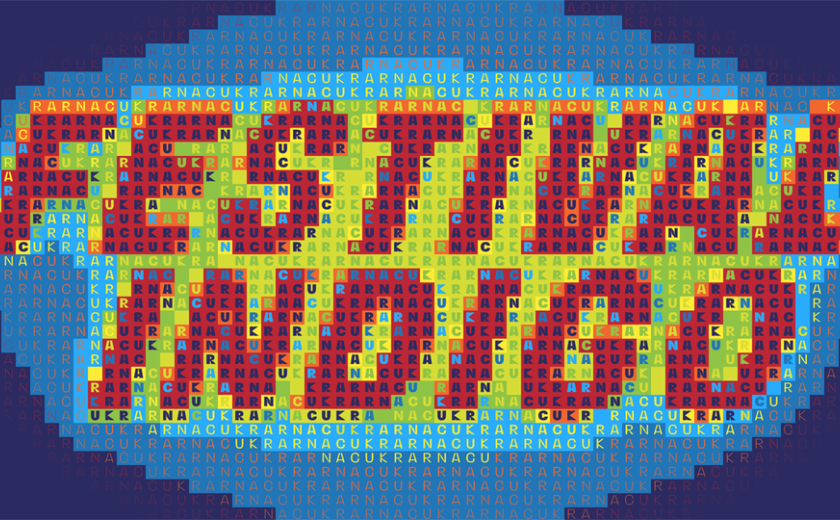 Festival Indigo, recenzija in komentar