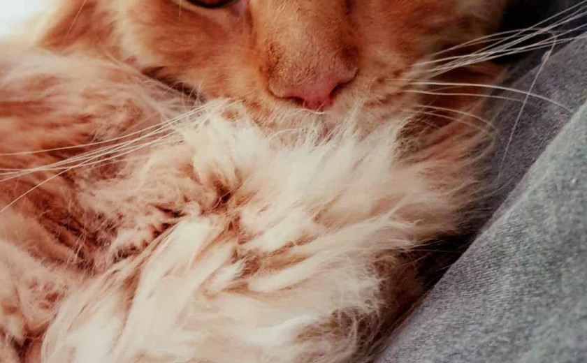 Seznam skladb za 25. 11. 2024, 7.05–10.15 (Jizah DaFunk)