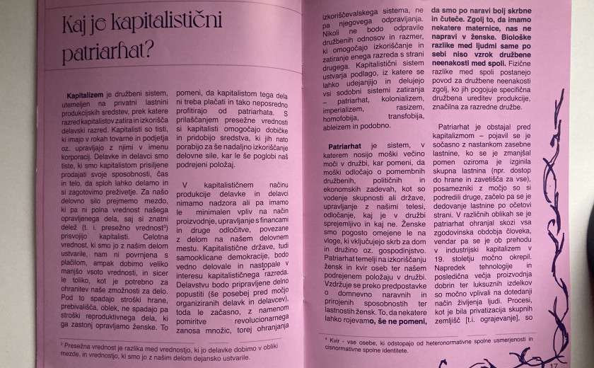 brošura Delo žensk mora biti vidno!