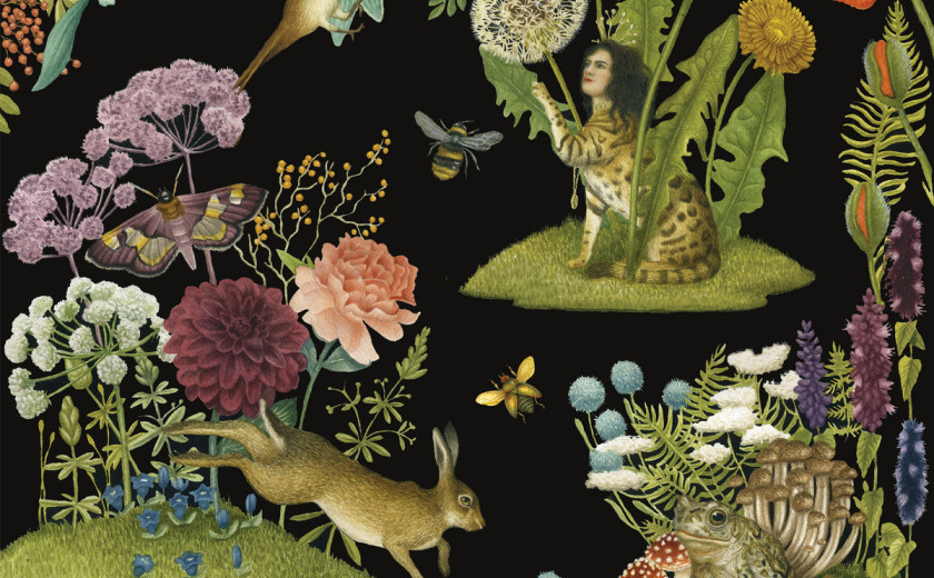 Kate Young: Umbelliferæ