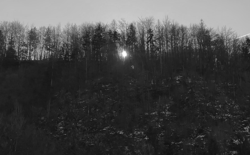 Črno-bela fotografija gozdnatega hriba