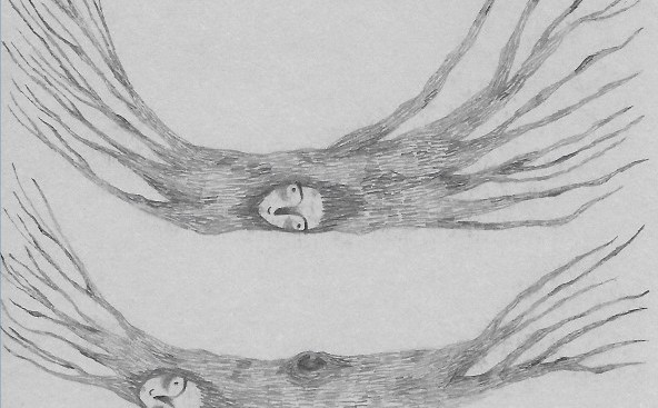 Seznam skladb za 25. 12. 2024, 15.00–19.00 (Enja Grabrijan)