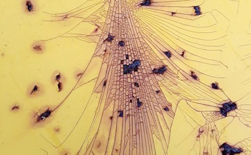 Seznam skladb za 29. 12. 2024, 14.00–18.00 (Nejc Suban)