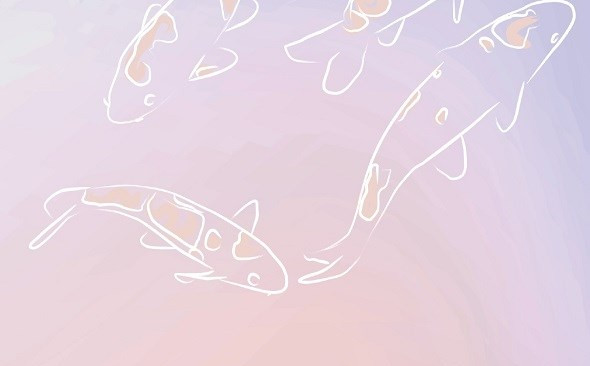 Gal Furlan Quartet – Snake