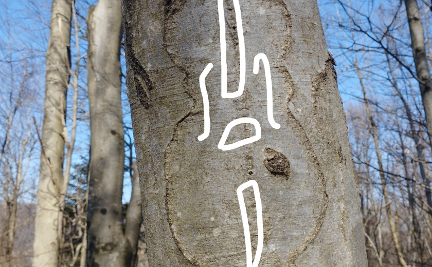 Seznam skladb za 15. 3. 2025, 14.00–18.00 (Enja Grabrijan)