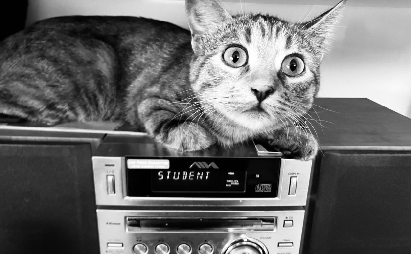 Seznam skladb za 20. 3. 2025, 14.00–18.00 (Pia Štarkl)