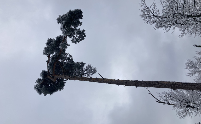 Seznam skladb za 17. 3. 2025, 14.00–18.00 (Hana Hunjet)