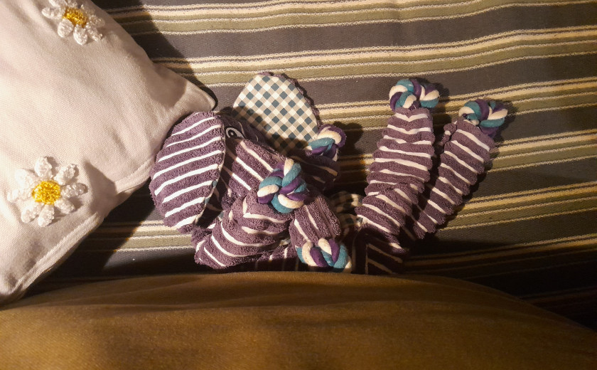 G2B (7.00–11.00) (UKK)