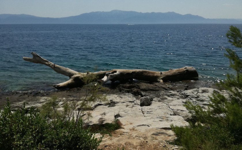 Seznam skladb, 8. 4. 2025 (14.00–18.00)