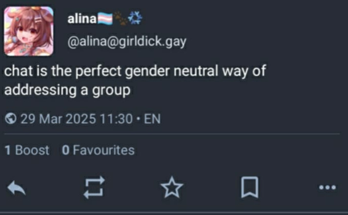 Mastodon post avtorice_ja @alina@girldick.gay, ki se glasi: "Chat is the perfect gender neutral way of addressing a group."
