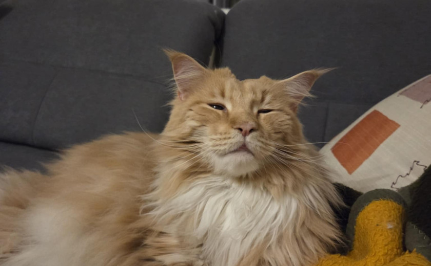 Seznam skladb za 26. 5. 2025, 7.05–10.10 (Jizah DaFunk)