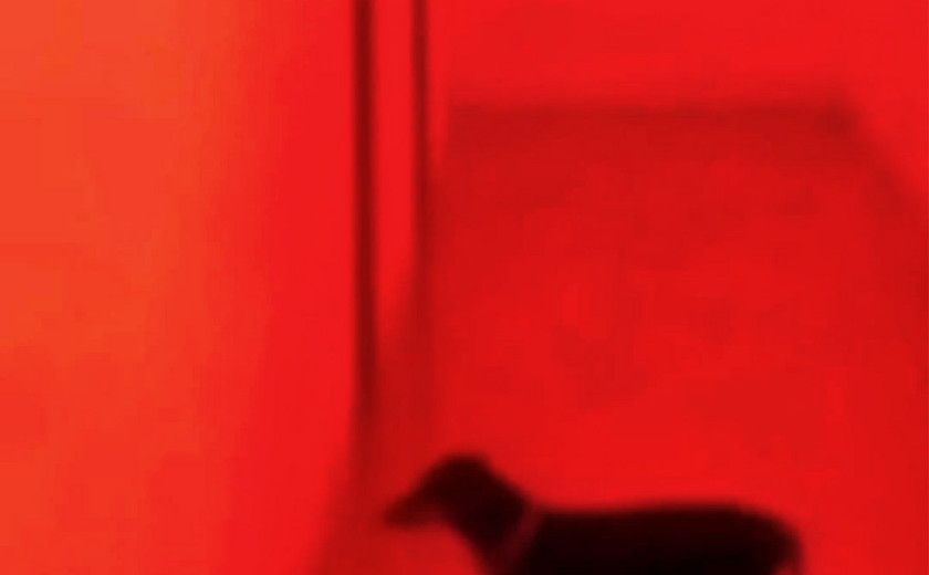 pl@ža – Beneš Jermanov