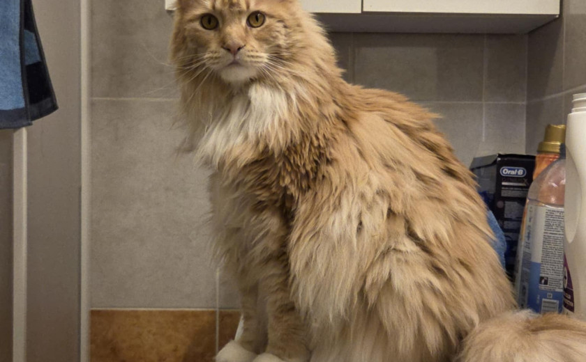 Seznam skladb za 23. 6. 2025, 7.00–11.00 (Jizah DaFunk)