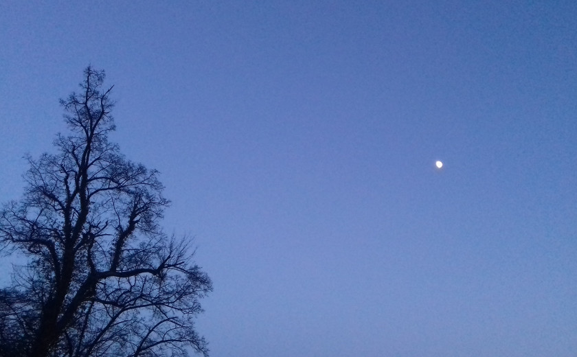 Seznam skladb za 31. 8. 2025, 14.00–18.00 (Nina Zajc)