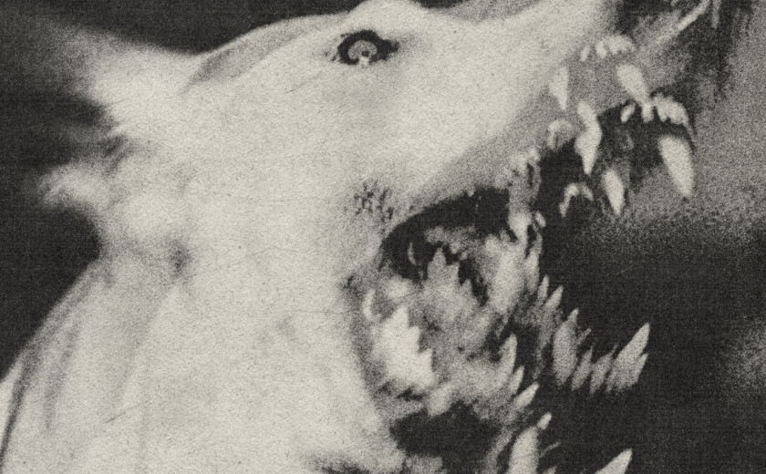 Ciśnienie: [angry noises]