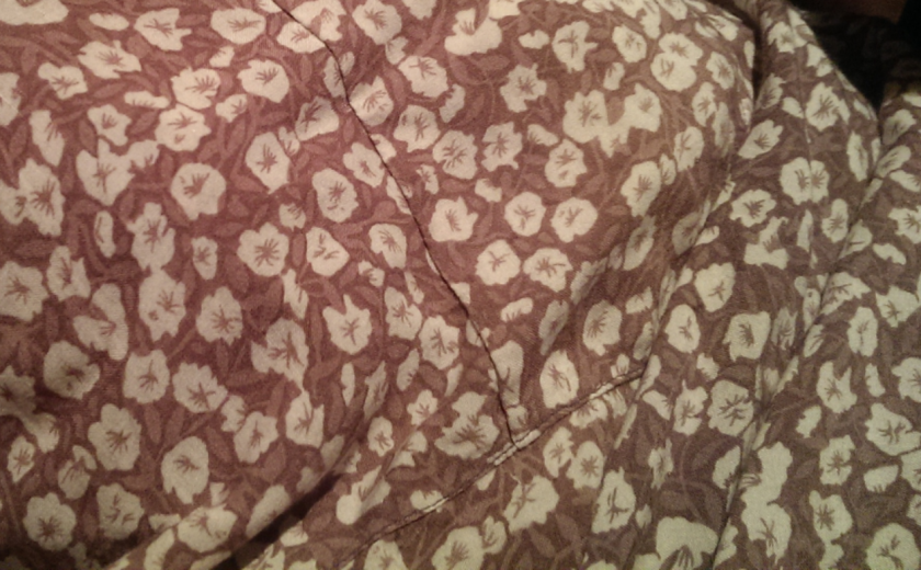 dobesedno neka stara srajca ki sem jo sicer redno nosil v prejšnjem desetletju, dve desetletji nazaj pa tudi moja mat in moj foter pred njo lepa majca