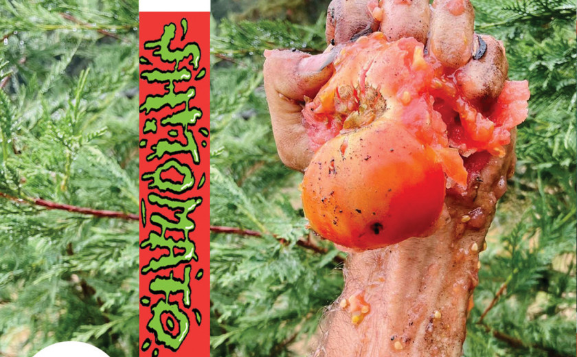 Sh!tomato: Sh!tomato