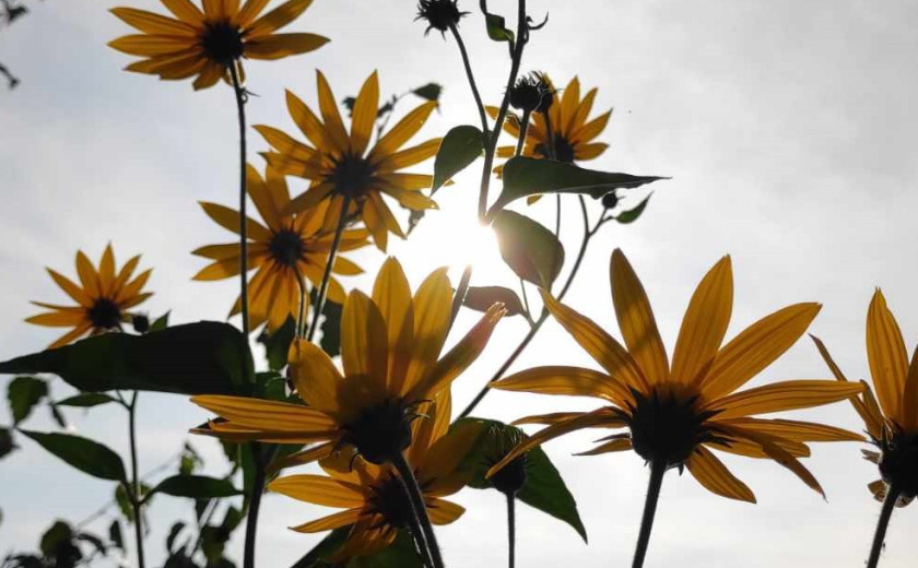 Seznam skladb za 13. 11. 2025, 14.00–18.00 (Mojca Teržan)