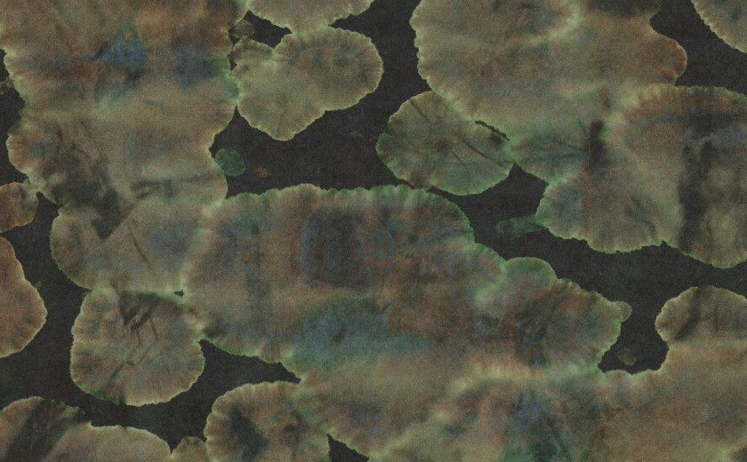 Zhlehtet – figuration