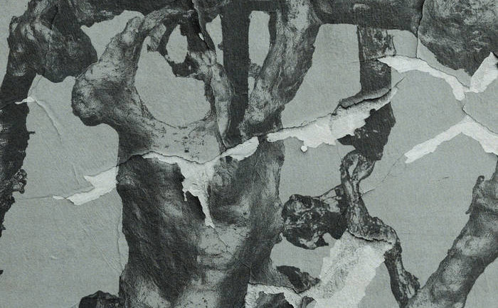 II/III: two out of three