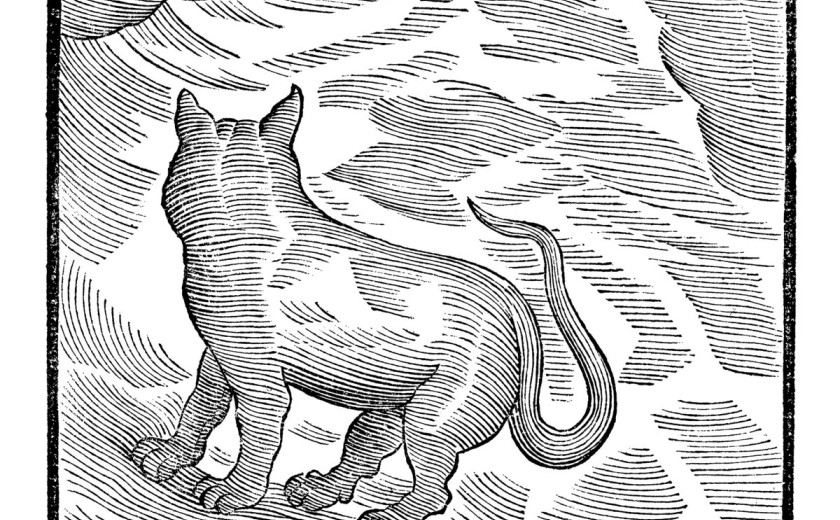 Valentina Magaletti & YPY: Kansai Bruises