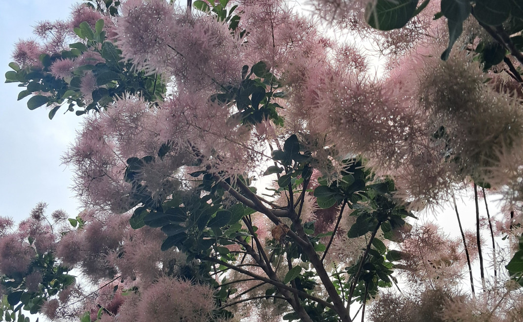 Seznam skladb za 6. 3. 2026, 14.00–18.00 (Nina Zajc)