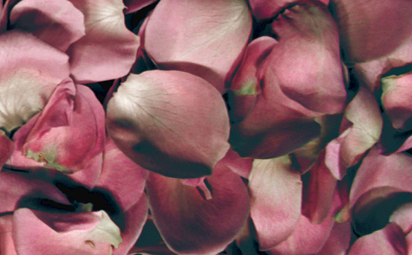 Jambinai: Différance