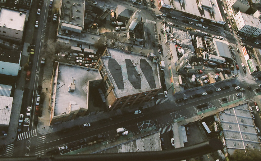 Show Me the Body: Dog Whistle