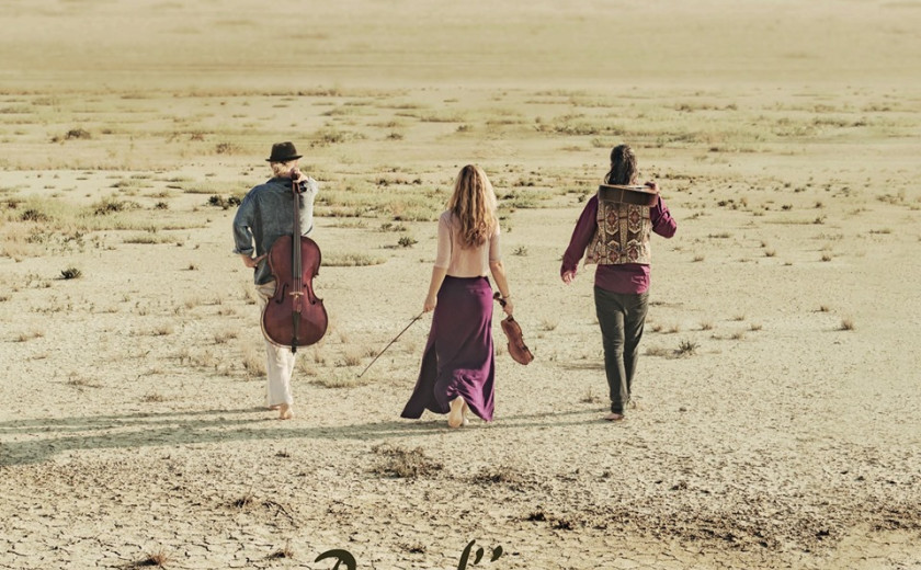 Wild Strings Trio Svašta