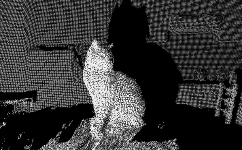 Marta Fakuch svašta