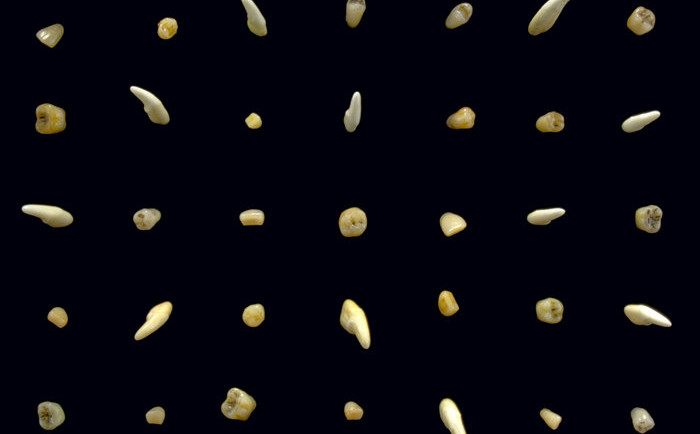 clipping. - say the name